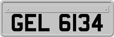 GEL6134
