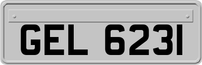 GEL6231