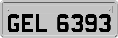 GEL6393