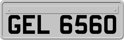 GEL6560