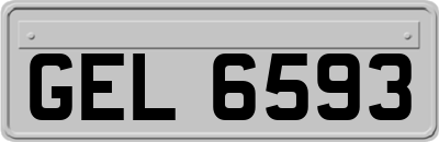 GEL6593