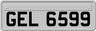 GEL6599