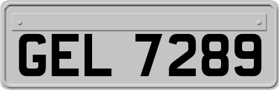 GEL7289