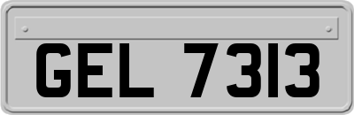 GEL7313