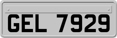 GEL7929