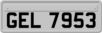 GEL7953