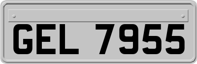 GEL7955