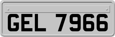 GEL7966