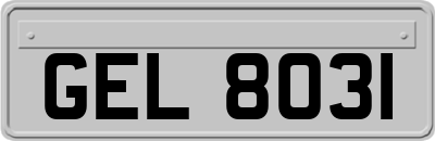 GEL8031