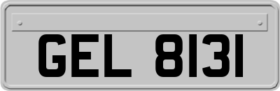 GEL8131