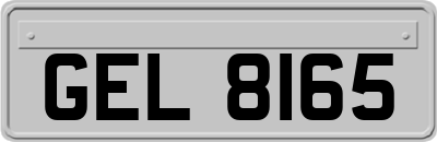 GEL8165