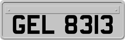 GEL8313