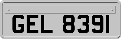 GEL8391