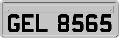 GEL8565