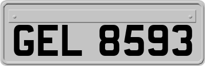 GEL8593