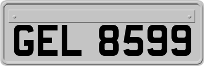 GEL8599