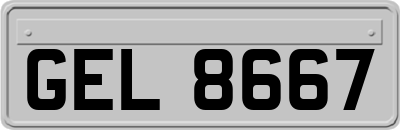 GEL8667
