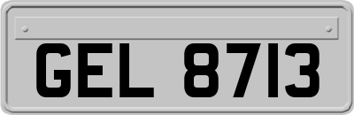 GEL8713