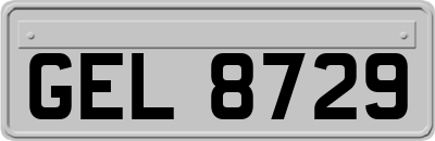 GEL8729