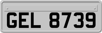 GEL8739