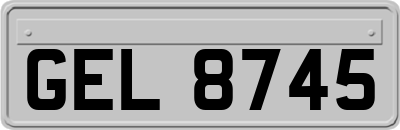 GEL8745