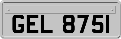 GEL8751