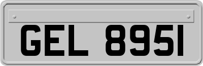 GEL8951
