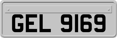 GEL9169