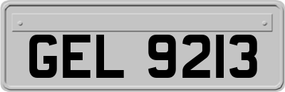GEL9213