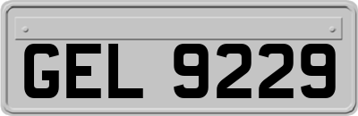 GEL9229
