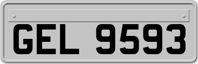 GEL9593