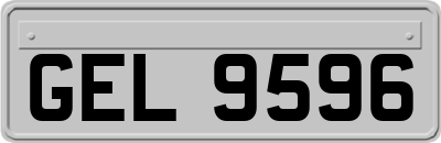 GEL9596