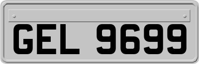 GEL9699