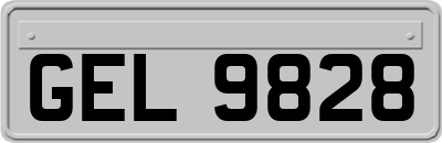 GEL9828