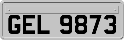 GEL9873