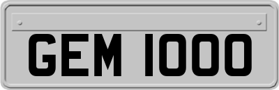 GEM1000