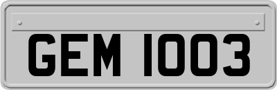 GEM1003