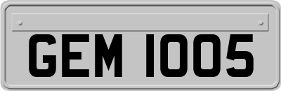 GEM1005