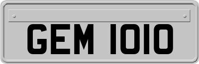 GEM1010