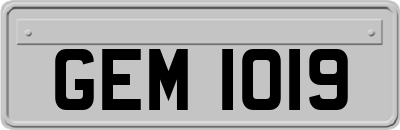 GEM1019