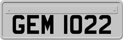 GEM1022