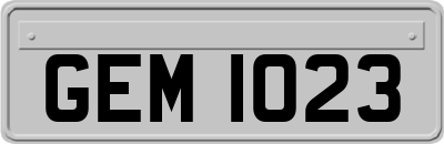 GEM1023