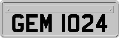 GEM1024