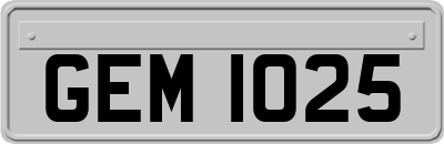 GEM1025