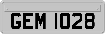 GEM1028