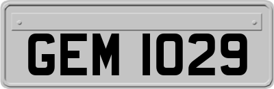 GEM1029