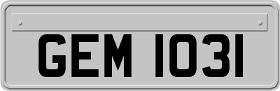 GEM1031