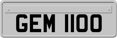 GEM1100