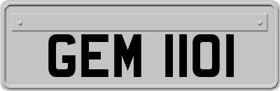 GEM1101