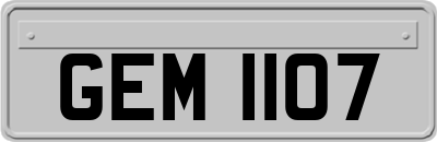 GEM1107